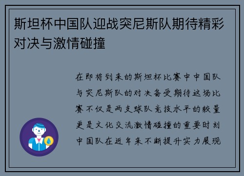 斯坦杯中国队迎战突尼斯队期待精彩对决与激情碰撞