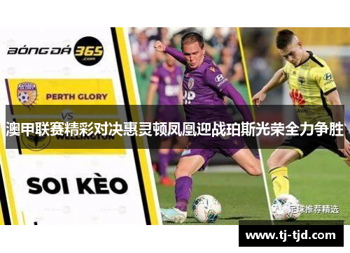 澳甲联赛精彩对决惠灵顿凤凰迎战珀斯光荣全力争胜